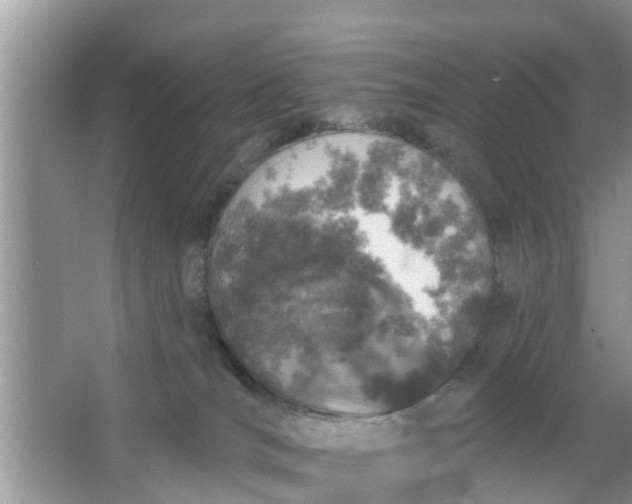 X0000066970036200604072042