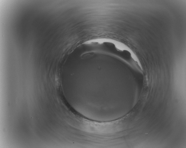 X0000066970039200604072042