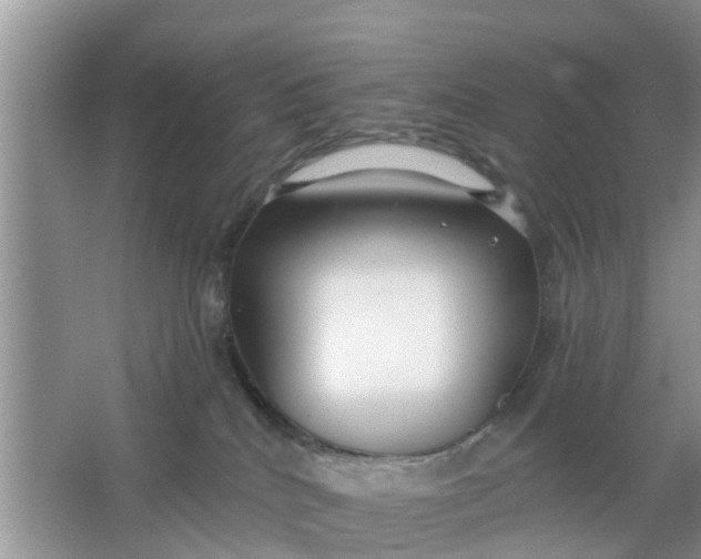 X0000066970040200604072042