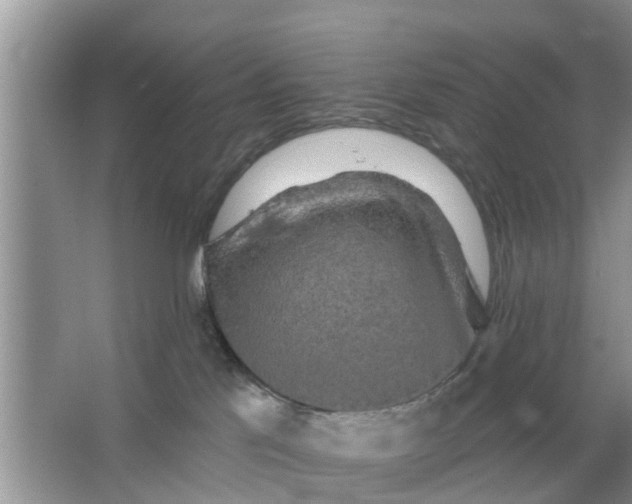 X0000066970041200604072042