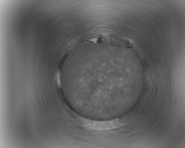 X0000066970042200604072042