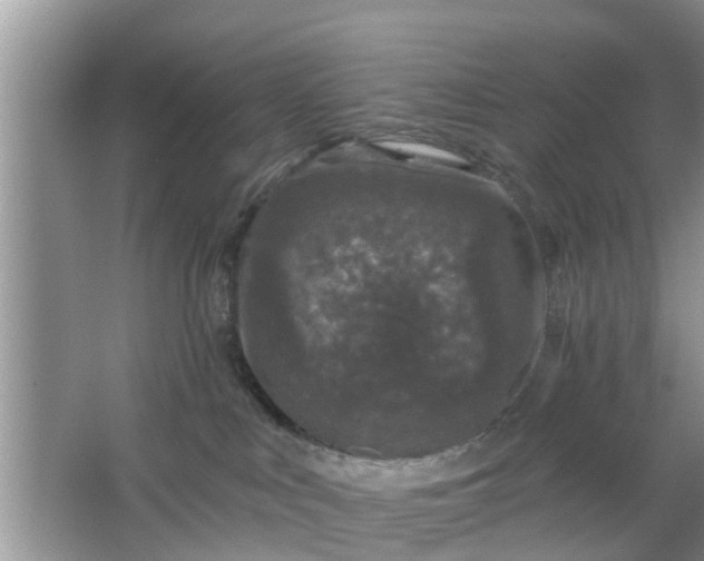 X0000066970043200604072042