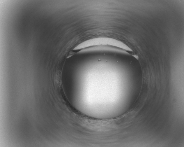 X0000066970044200604072042