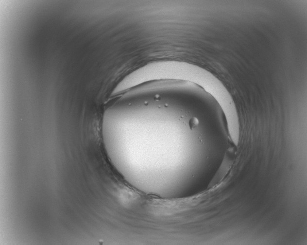 X0000066970045200604072042