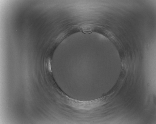 X0000066970046200604072042