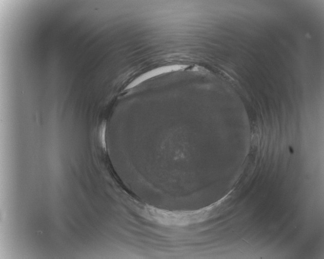 X0000066970047200604072042