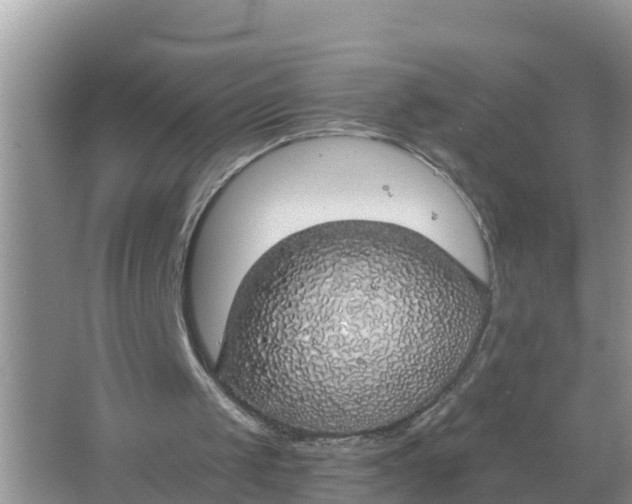 X0000066970049200604072041