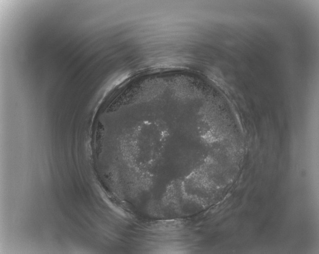 X0000066970050200604072041