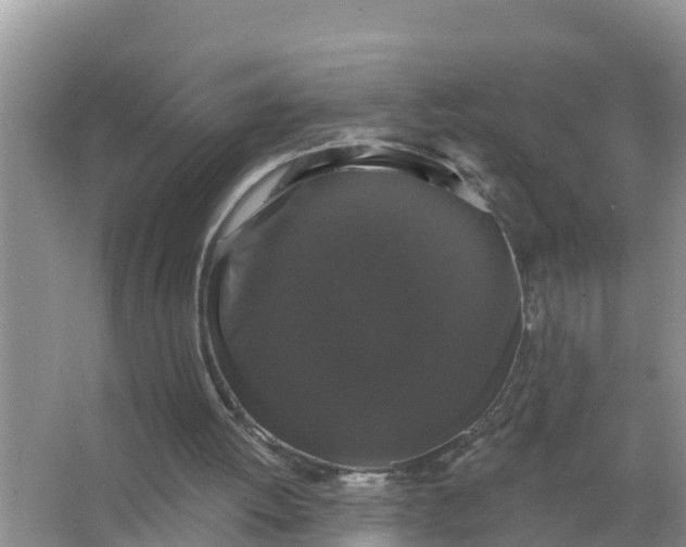 X0000066970052200604072041