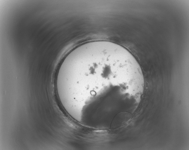 X0000066970053200604072041