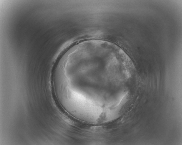 X0000066970054200604072041