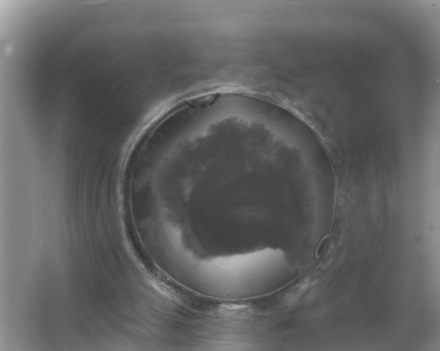 X0000066970055200604072041