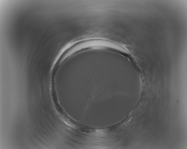 X0000066970056200604072041