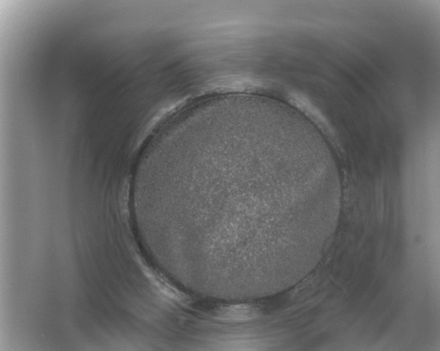 X0000066970058200604072041