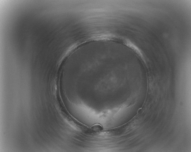 X0000066970059200604072041