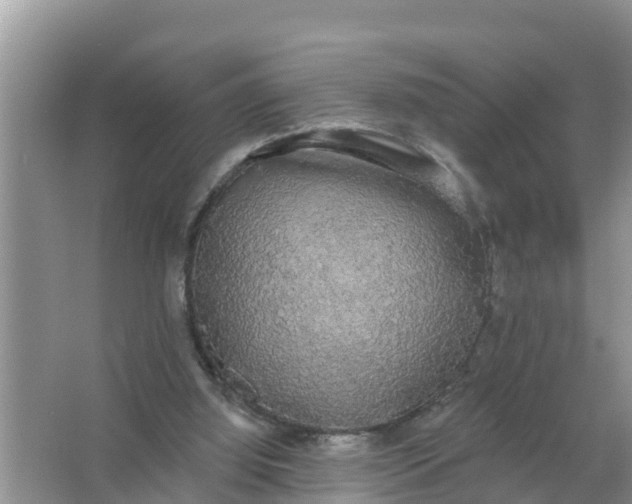 X0000066970060200604072041