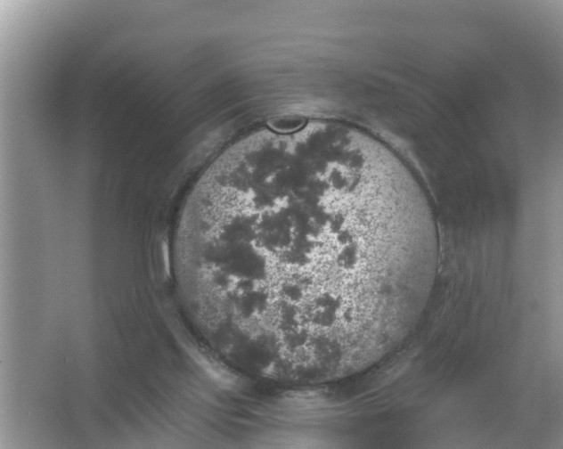 X0000066970061200604072041