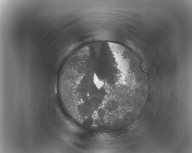 X0000066970062200604072041