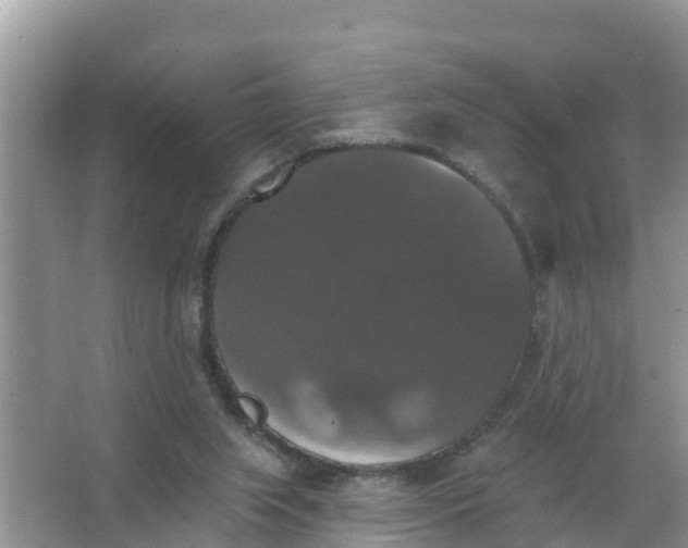 X0000066970063200604072041