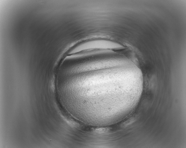 X0000066970064200604072041