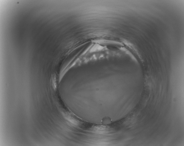 X0000066970069200604072041