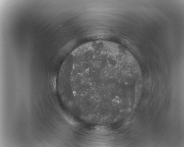 X0000066970070200604072041