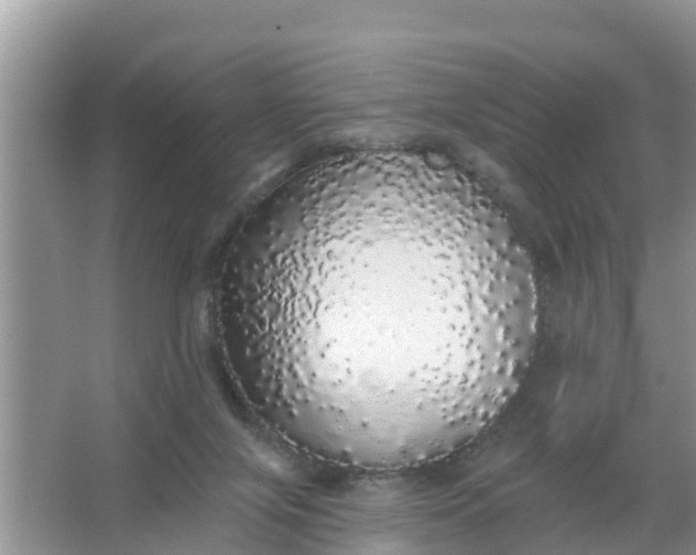 X0000066970071200604072041