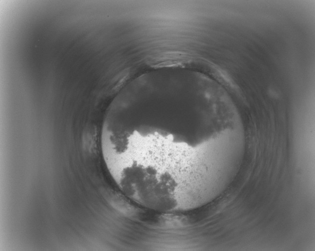 X0000066970073200604072041