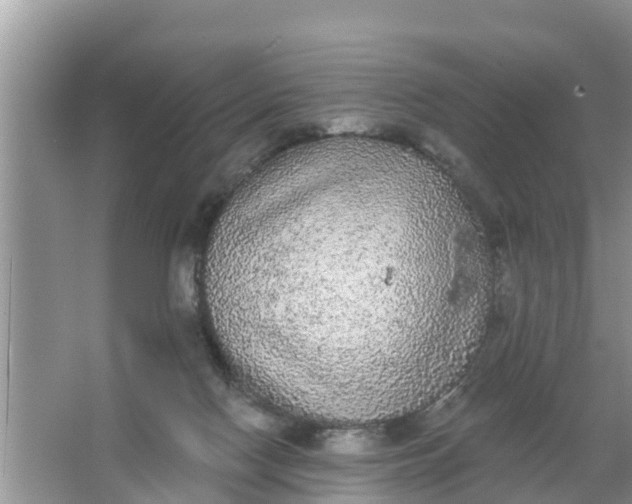 X0000066970074200604072041