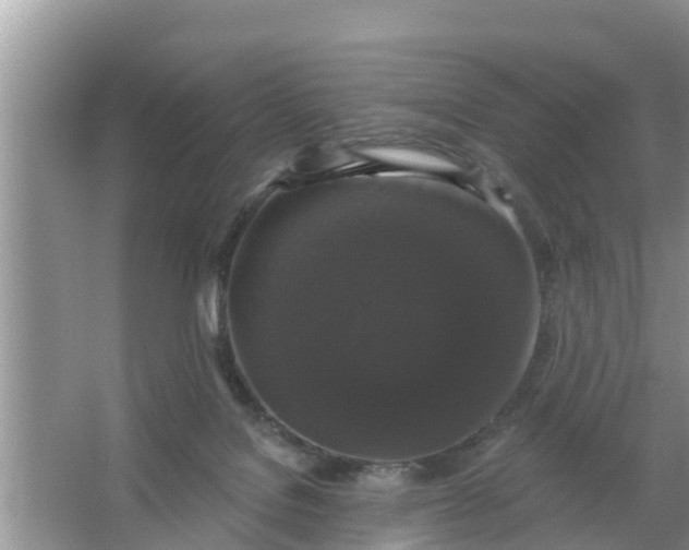 X0000066970076200604072041