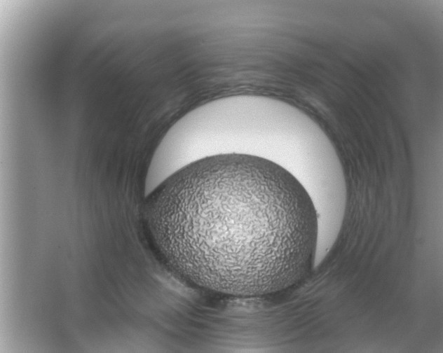 X0000066970077200604072041