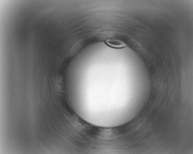 X0000066970083200604072041