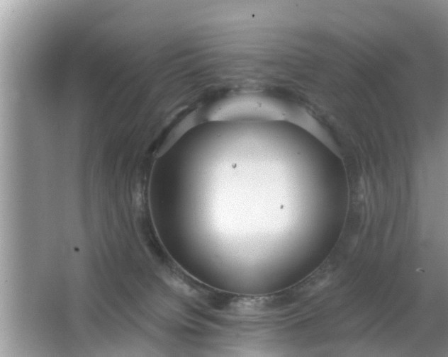 X0000066970084200604072041