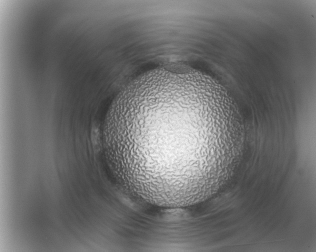 X0000066970087200604072041