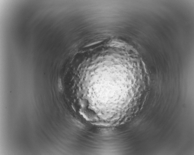 X0000066970089200604072041