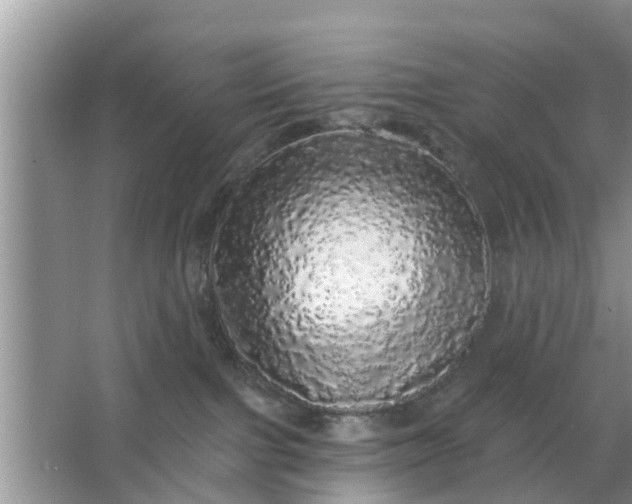 X0000066970091200604072041