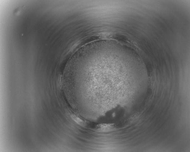 X0000066970093200604072041