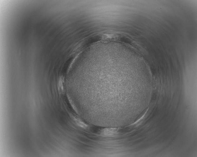 X0000066970094200604072041