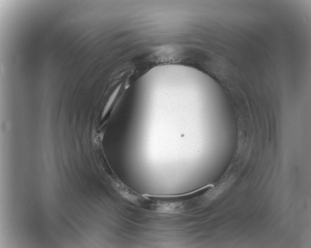 X0000066970096200604072041