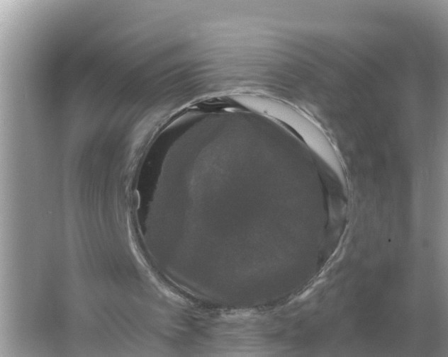 X0000066970097200604072041