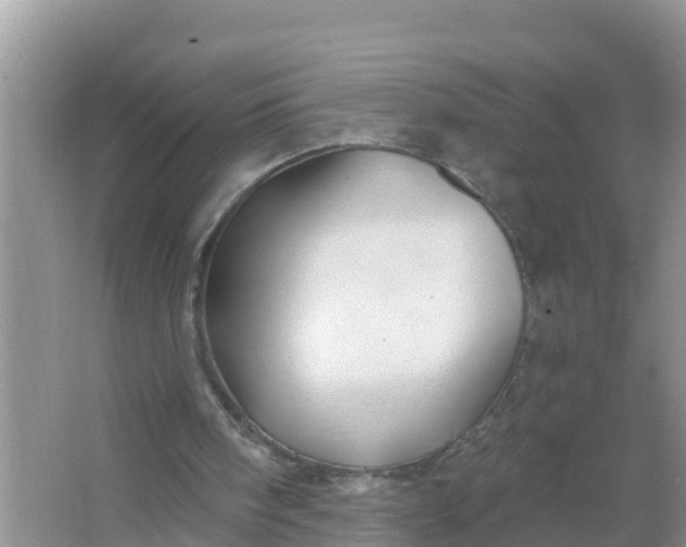 X0000066970098200604072041