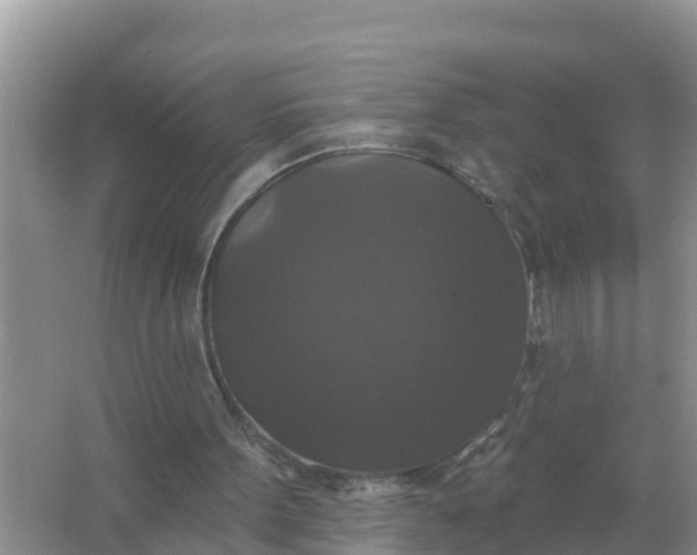 X0000066970099200604072041