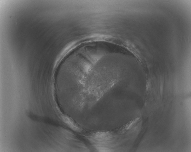 X0000066970101200604072041