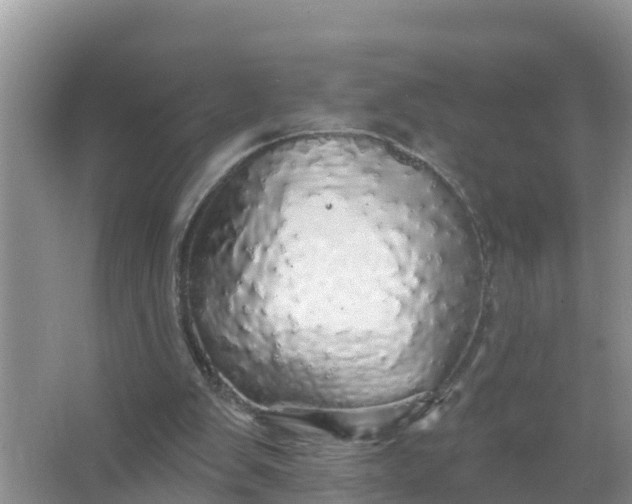 X0000066970103200604072041