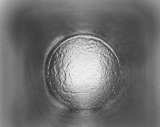 X0000066970104200604072041