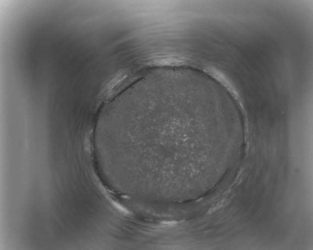 X0000066970105200604072041