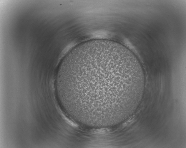 X0000066970106200604072041