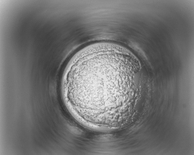 X0000066970108200604072040