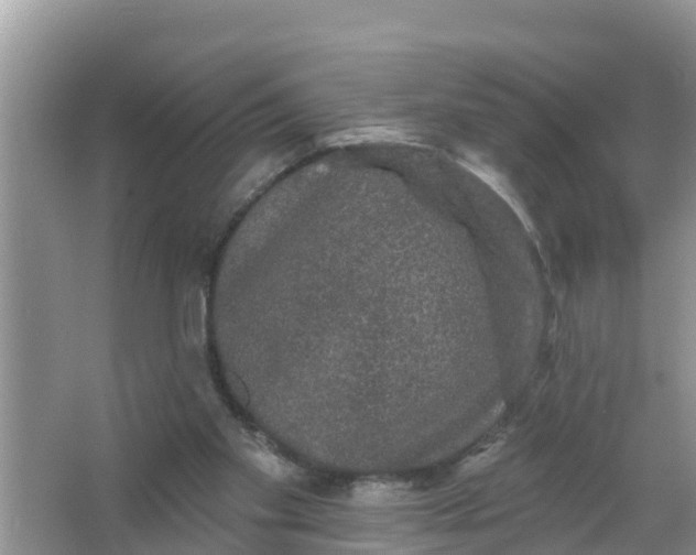 X0000066970109200604072040