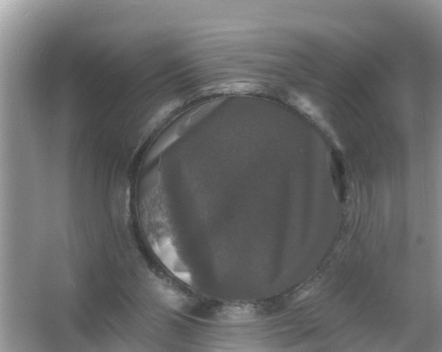 X0000066970110200604072040